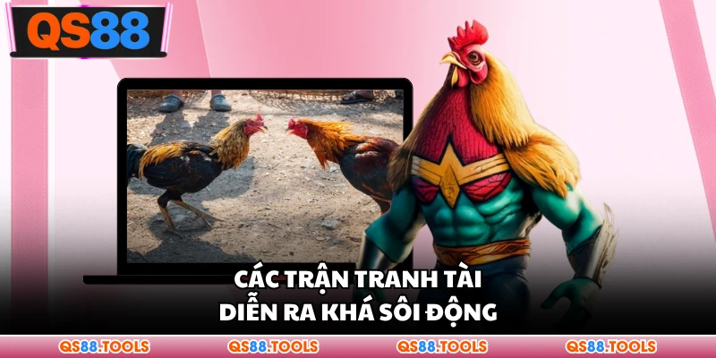 Đá Gà QS88 - Không Khí Tranh Tài Cực Hấp Dẫn Cho Bạn 2 Các trận tranh tài diễn ra khá sôi động