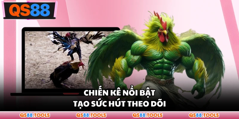 Đá Gà QS88 - Không Khí Tranh Tài Cực Hấp Dẫn Cho Bạn 3 Chiến kê nổi bật tạo sức hút theo dõi
