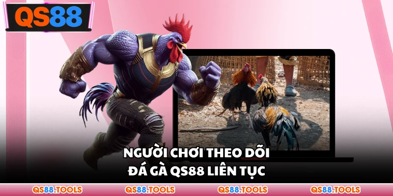 Đá Gà QS88 - Không Khí Tranh Tài Cực Hấp Dẫn Cho Bạn 1 Người chơi theo dõi đá gà QS88 liên tục